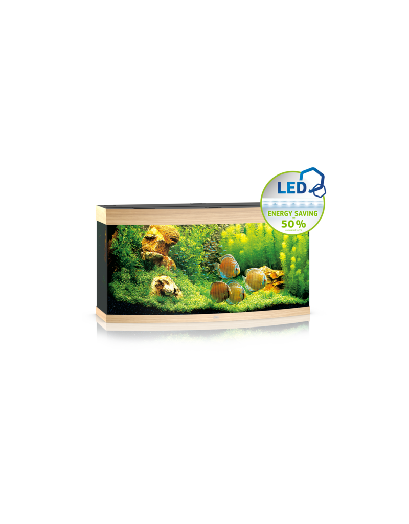 Juwel Vision 260 Aquarium helles Holz