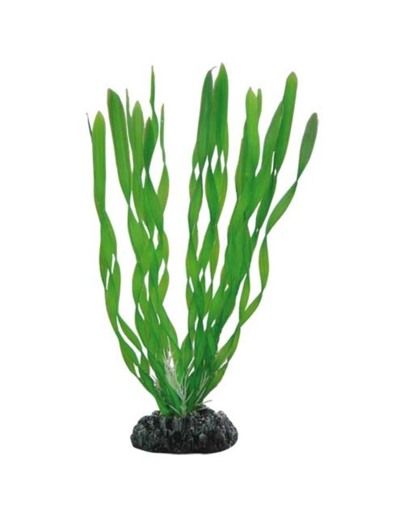 Hobby Vallisneria 20cm Kunststoffpflanze