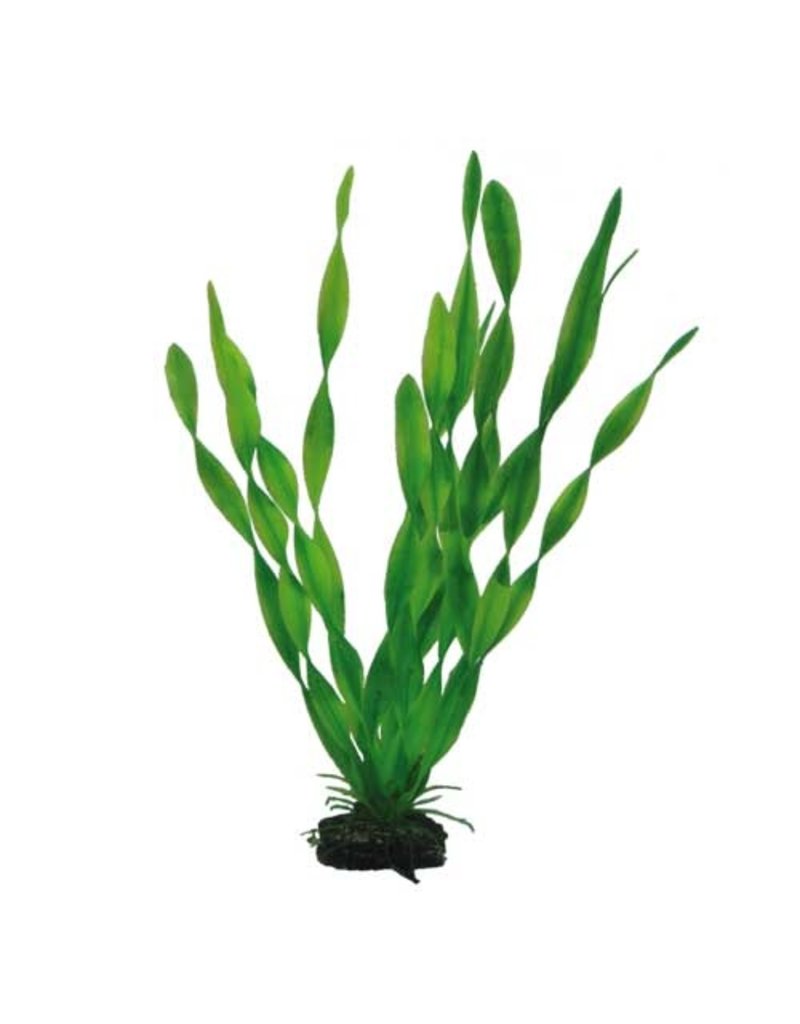 Hobby Vallisneria 34cm Kunststoffpflanze