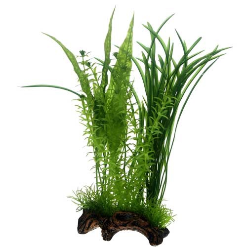 monstera deliciosa support Monstera Plant Support & Trellis For Indoor Climbing Plants – Ed's Plant  Shop main image 1
