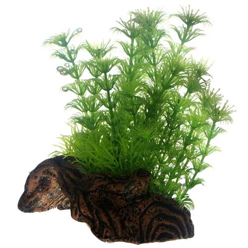 Hobby Flora Root 3, S 17 cm Kunstpflanze - kaufen im Aqua Planet Online Shop