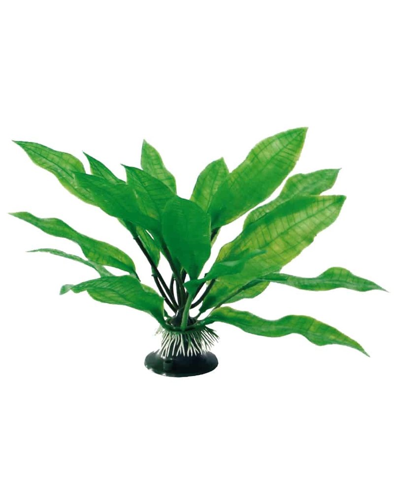 Amtra  Echinodorus MD 17cm Kunstpflanze