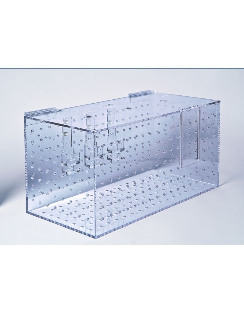 SCHWIMMSCHULE / EINGEWÖHNUNGSBECKEN XL EINFACH