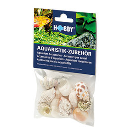 Hobby Hobby Sea Shells Set M