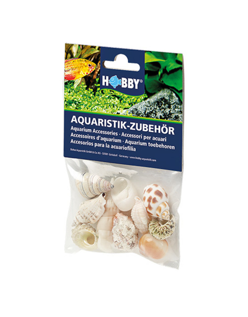 Hobby Hobby Sea Shells Set M