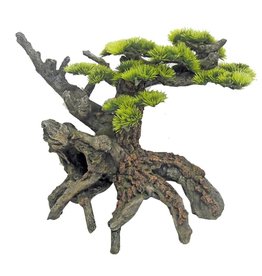 Amtra  AMTRA JAPAN-BONSAI