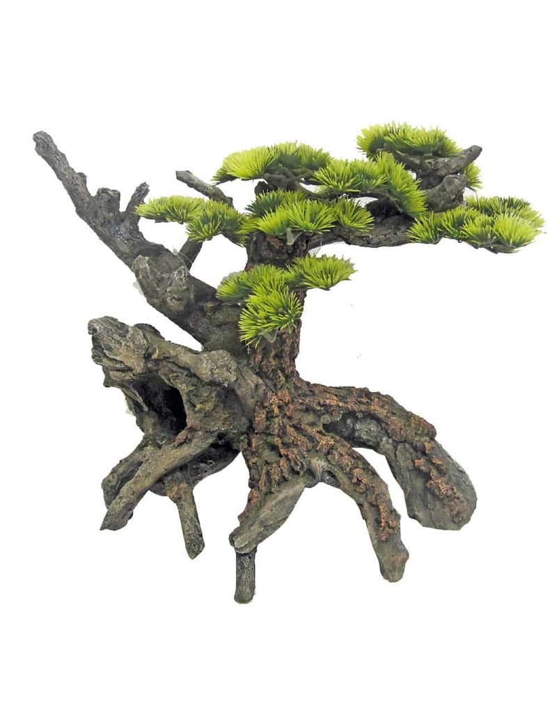 Amtra  Amtra JAPAN-BONSAI