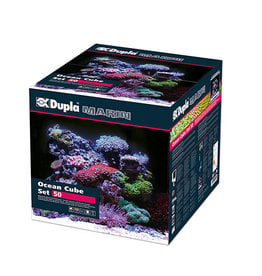 Dupla Dupla Ocean Cube Set 50