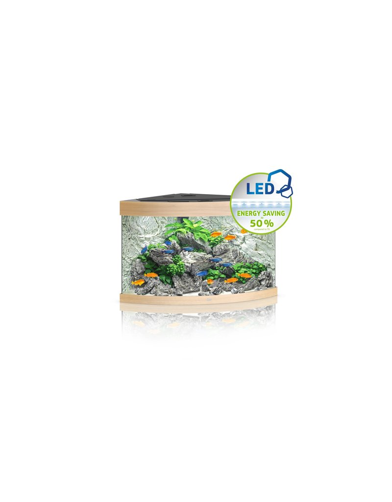 Juwel Trigon 350 Aquarium helles Holz