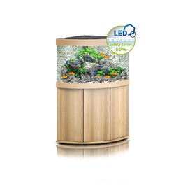 Juwel Juwel Trigon 350 Aquarium helles Holz Kombination