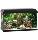 Juwel Juwel Primo 60 Aquarium schwarz