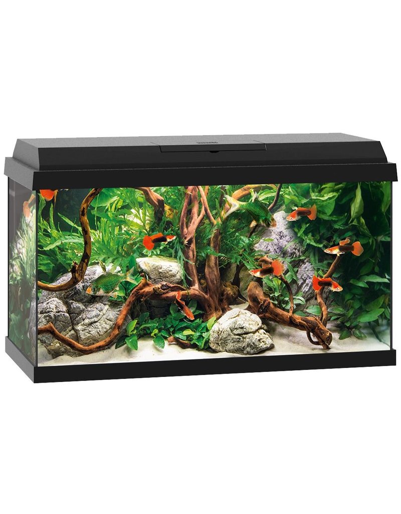 Juwel Juwel Primo 60 Aquarium schwarz