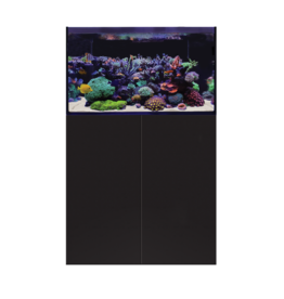 D-D D-D Aqua-Pro Reef 900 - BLACK SATIN