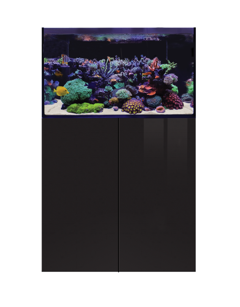 D-D D-D Aqua-Pro Reef 900 - BLACK GLOSS