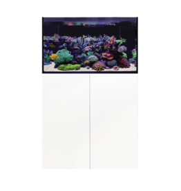 D-D D-D Aqua-Pro Reef 900 - WHITE GLOSS Meerwasseraquarium