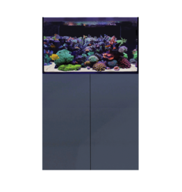 D-D D-D Aqua-Pro Reef 900 - ANTHRACITE GLOSS Meerwasseraquarium