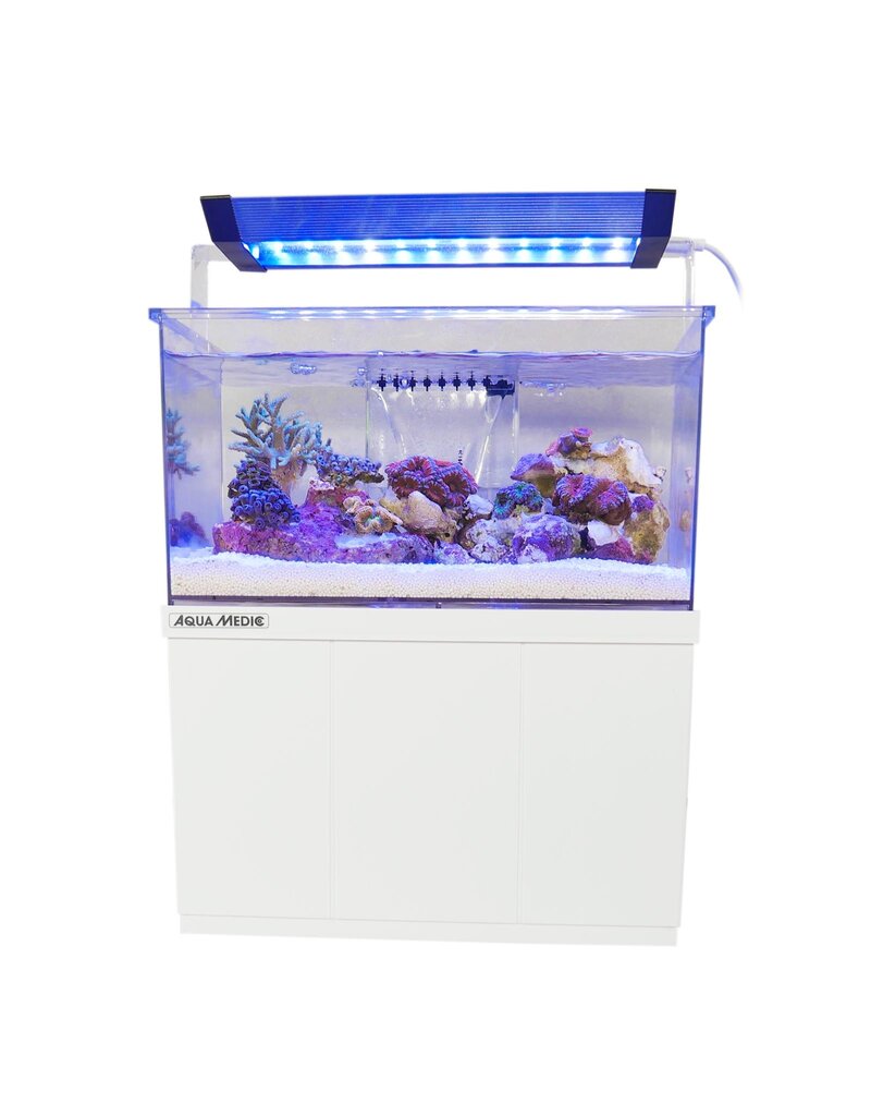 Aqua Medic Aqua Medic Armatus XS 10 Liter Mini Aquarium komplett