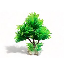 Bonsai grün