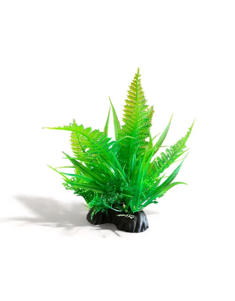 Kunstpflanze Farn mix Grün 16cm