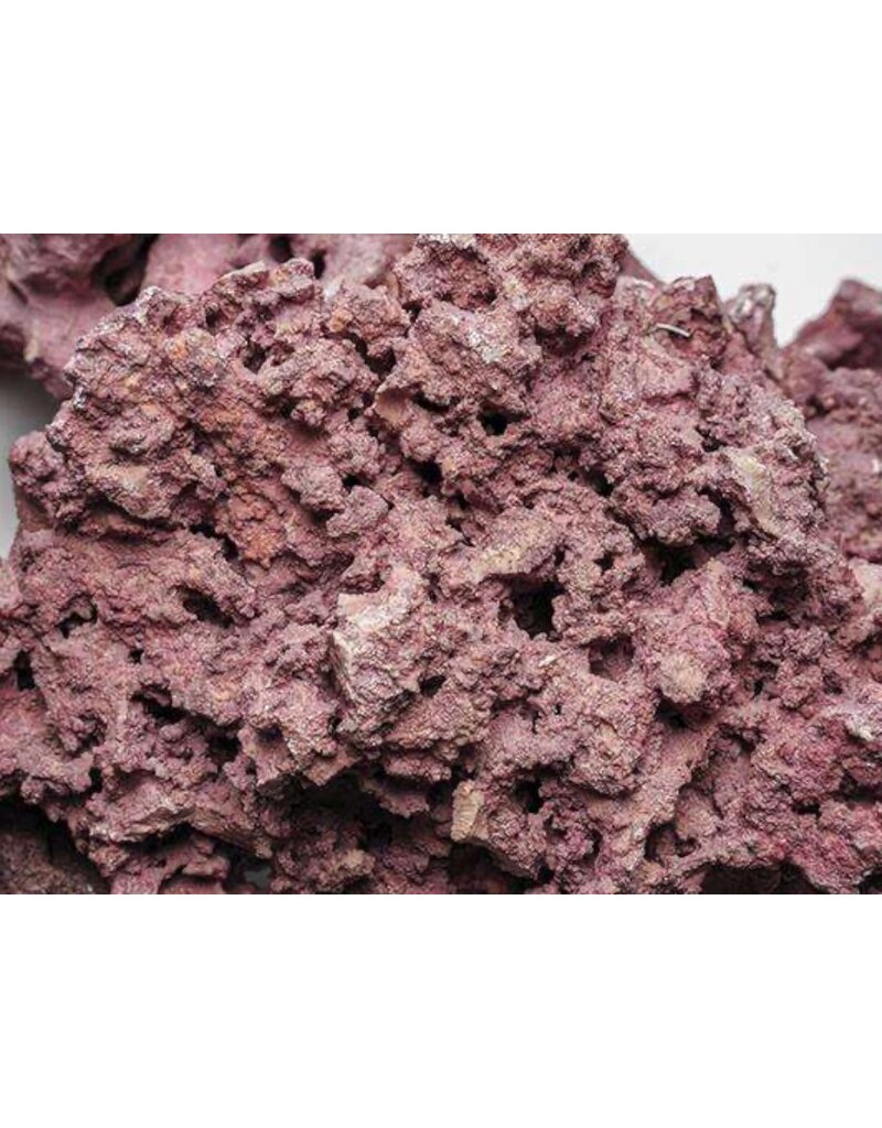 D-D D-D MARCO FOUNDATION ROCK CORALLINE 18KG BOX