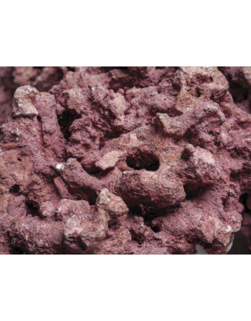 D-D D-D MARCO FOUNDATION ROCK CORALLINE 18KG BOX