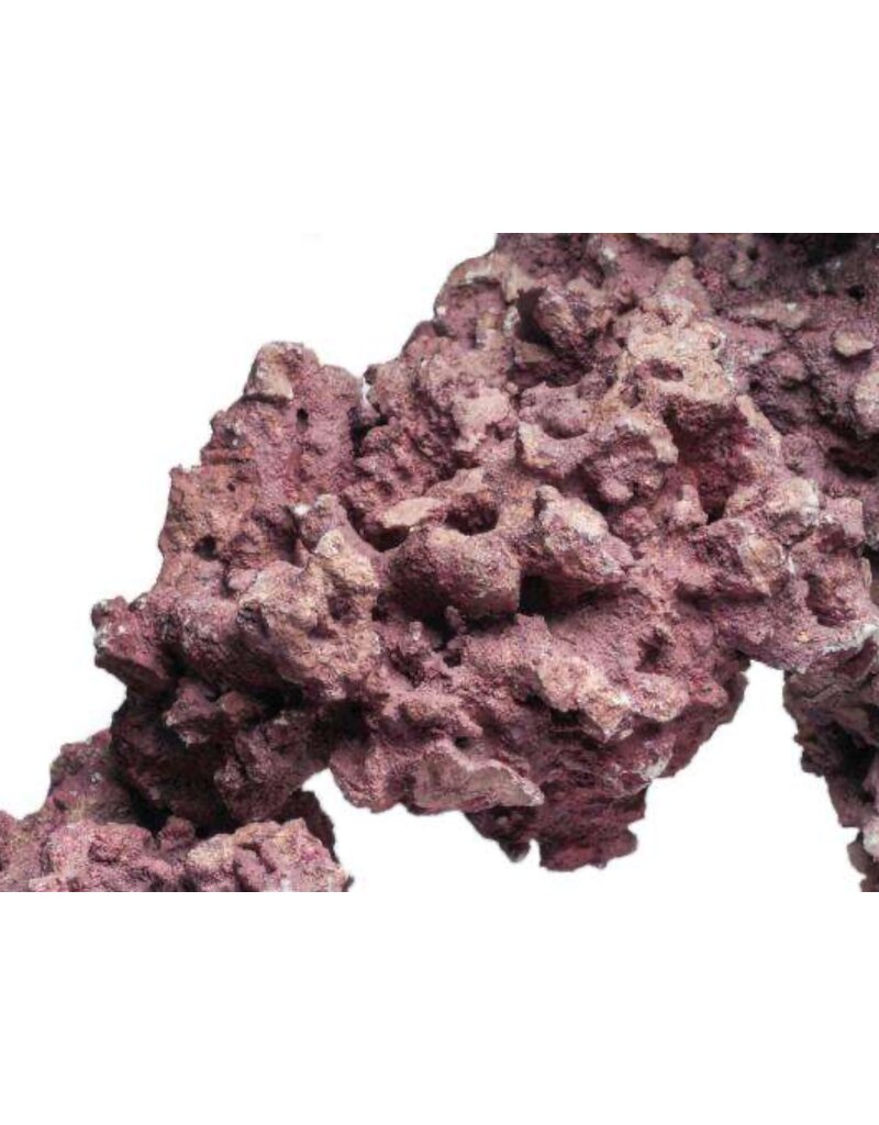 D-D D-D PREMIUM SHELF ROCK CORALLINE 18kg