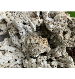 Totes Riffgestein Premium 1kg