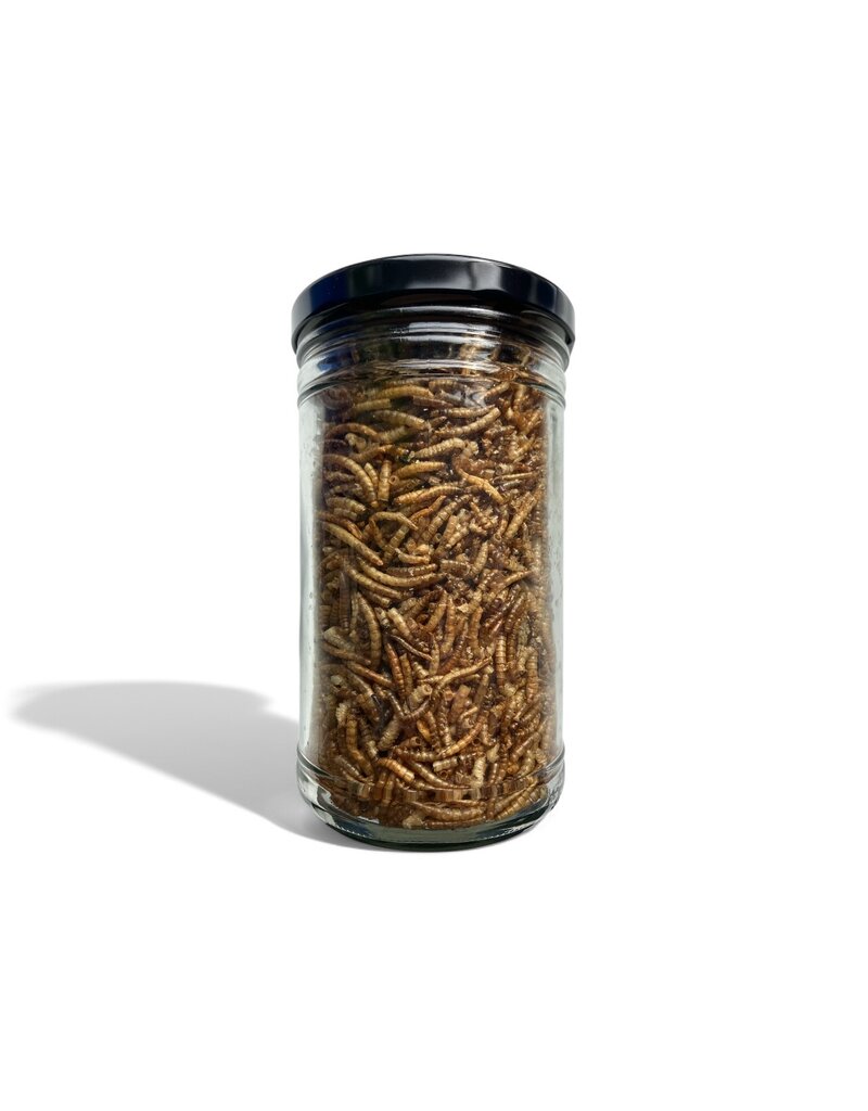 Mehlwürmer getrocknet 1000ml im Glas mit Schraubdeckel
