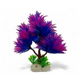 Bonsai lila