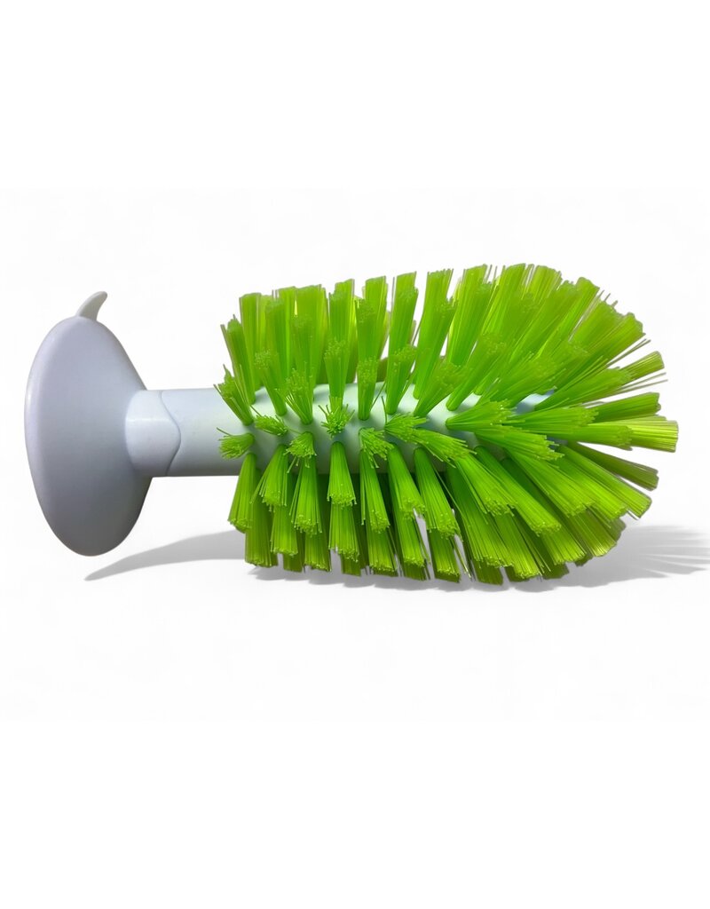 Schildkröten Bürste