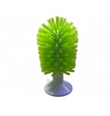 Schildkröten Bürste