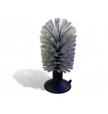 Schildkröten Bürste