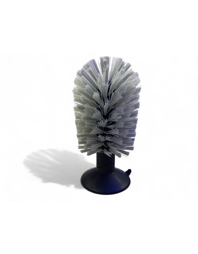 Schildkröten Bürste