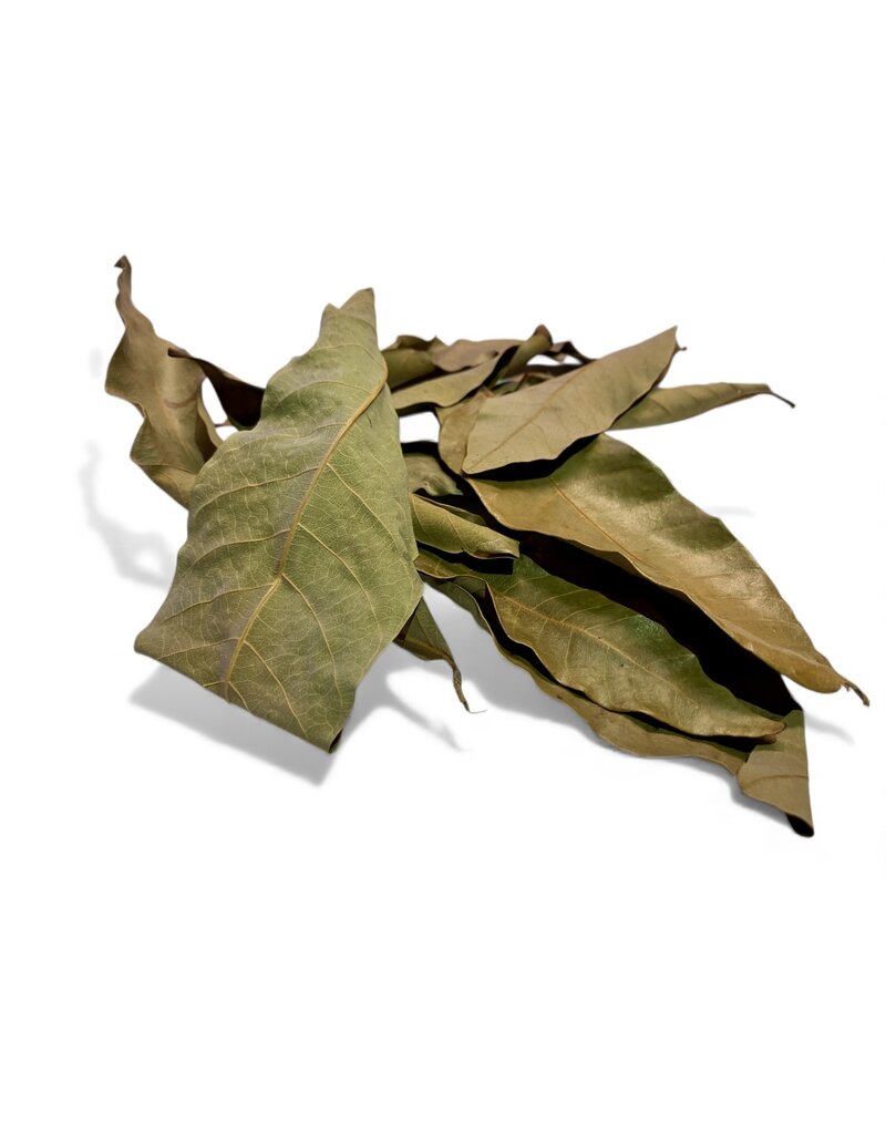 Longan Blätter grün 10 Stk.