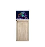 D-D D-D Reef-Pro 600 - PLATINUM OAK Meerwasseraquarium