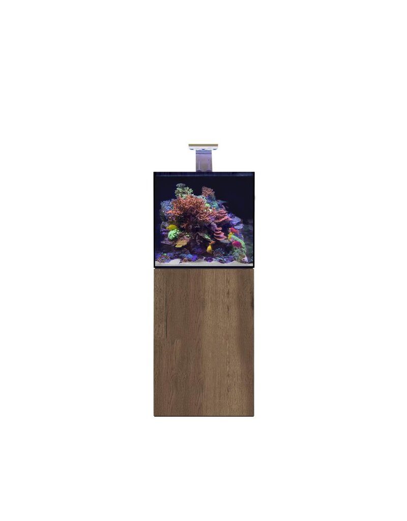 D-D D-D Aqua-Pro Reef 600 - TOBACCO OAK Meerwasseraquarium