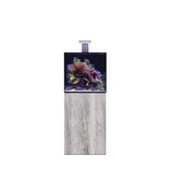 D-D D-D Aqua-Pro Reef 600 - DRIFTWOOD CONCRETE Meerwasseraquarium