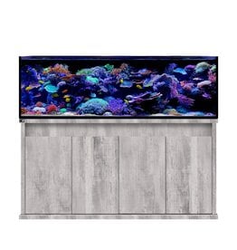 D-D D-D Reef-Pro 1800 - DRIFTWOOD CONCRETE Meerwasseraquarium