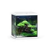 Juwel Juwel Vio Cube 54 weiss