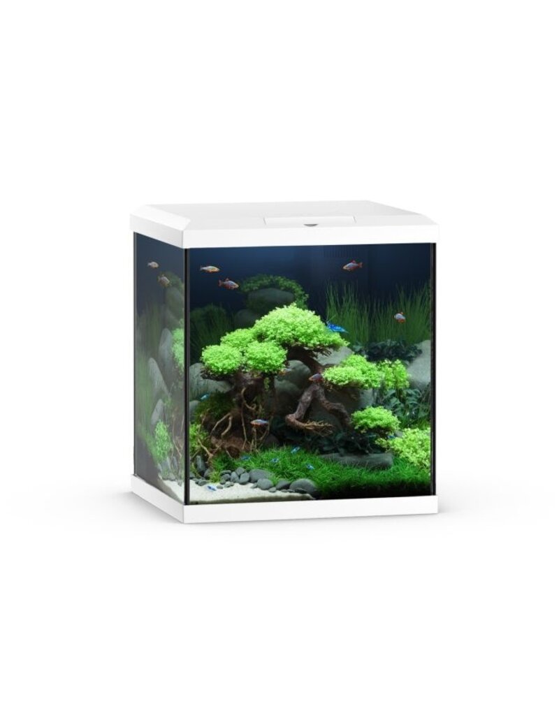 Juwel Juwel Vio Cube 54 weiss