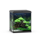 Juwel Juwel Vio Cube 54 schwarz