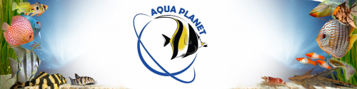 kaufen im Aqua Planet Online Shop