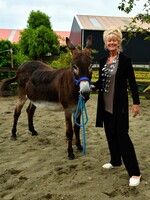 ZAZOU VEST ZAZOU ZWART