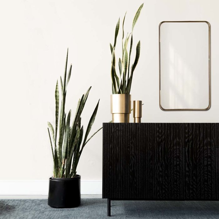 DMC  Gouden Spiegel Larsen Afgeronde Stalen Frame