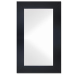 Spiegel Phoenix | 60x150 Stalen spiegel