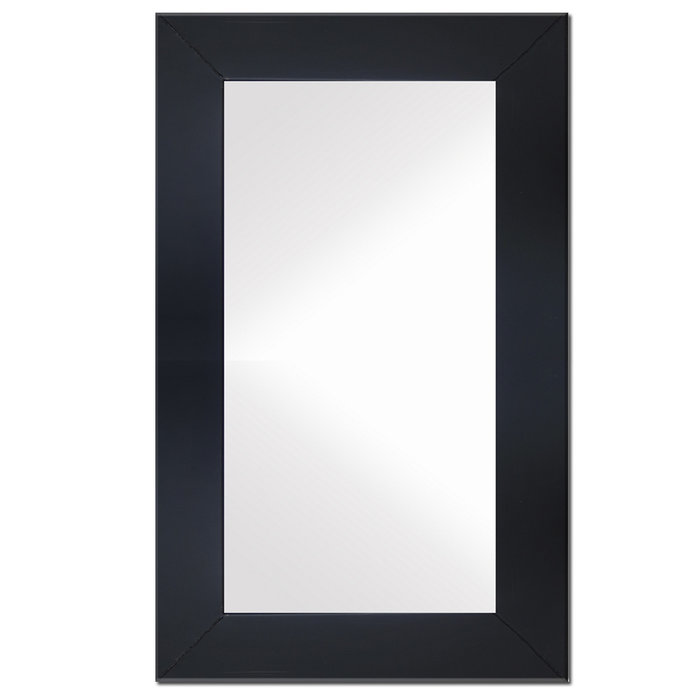 Spiegel Phoenix | 60x150 Stalen spiegel