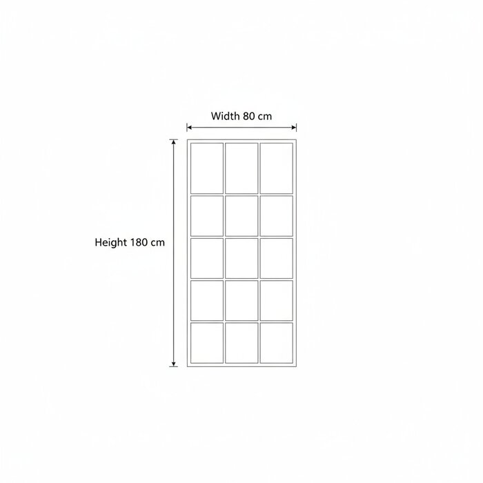 DMC  Grote Raamwerk Spiegel Elisa Zwart Staal 80x180 cm