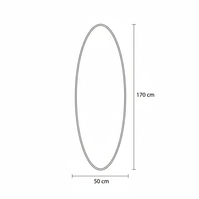 DMC  Grote Ovale Goud Stalen Spiegel Cadi 50x170 cm