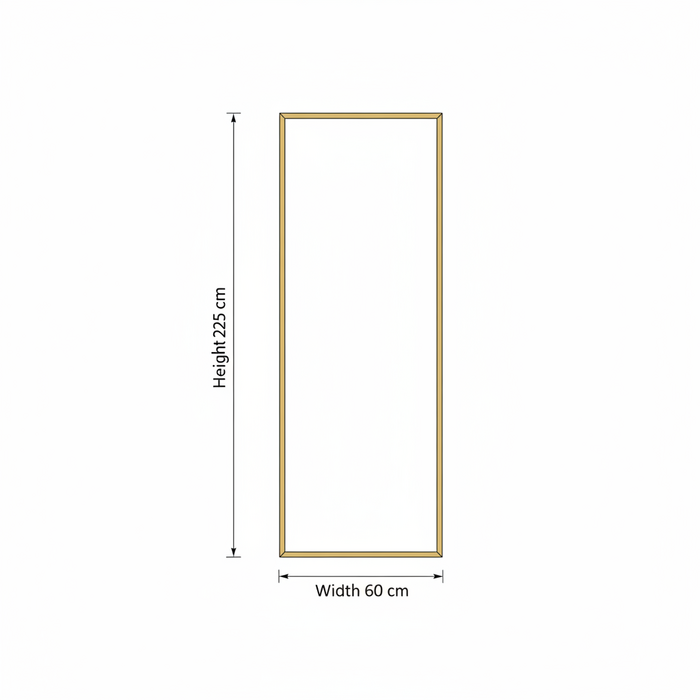DMC  Gouden Stalen Passpiegel 60x225 cm