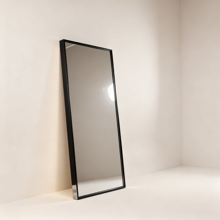 DMC  Grote Stalen Passpiegel Olaf Blokprofiel 100x190 cm